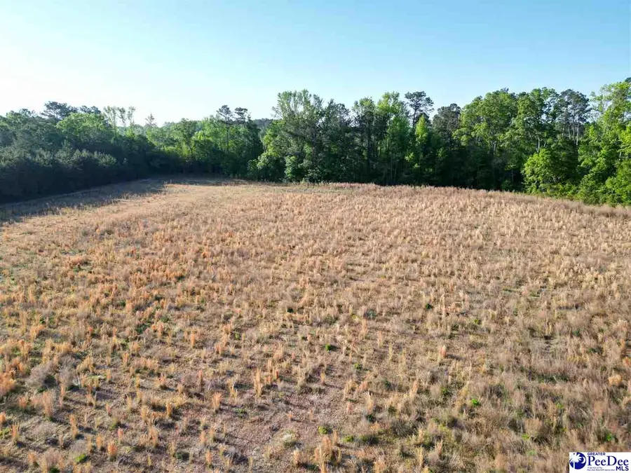 20.35 Acres Mineral Springs St, Lamar, SC 29069 - #3