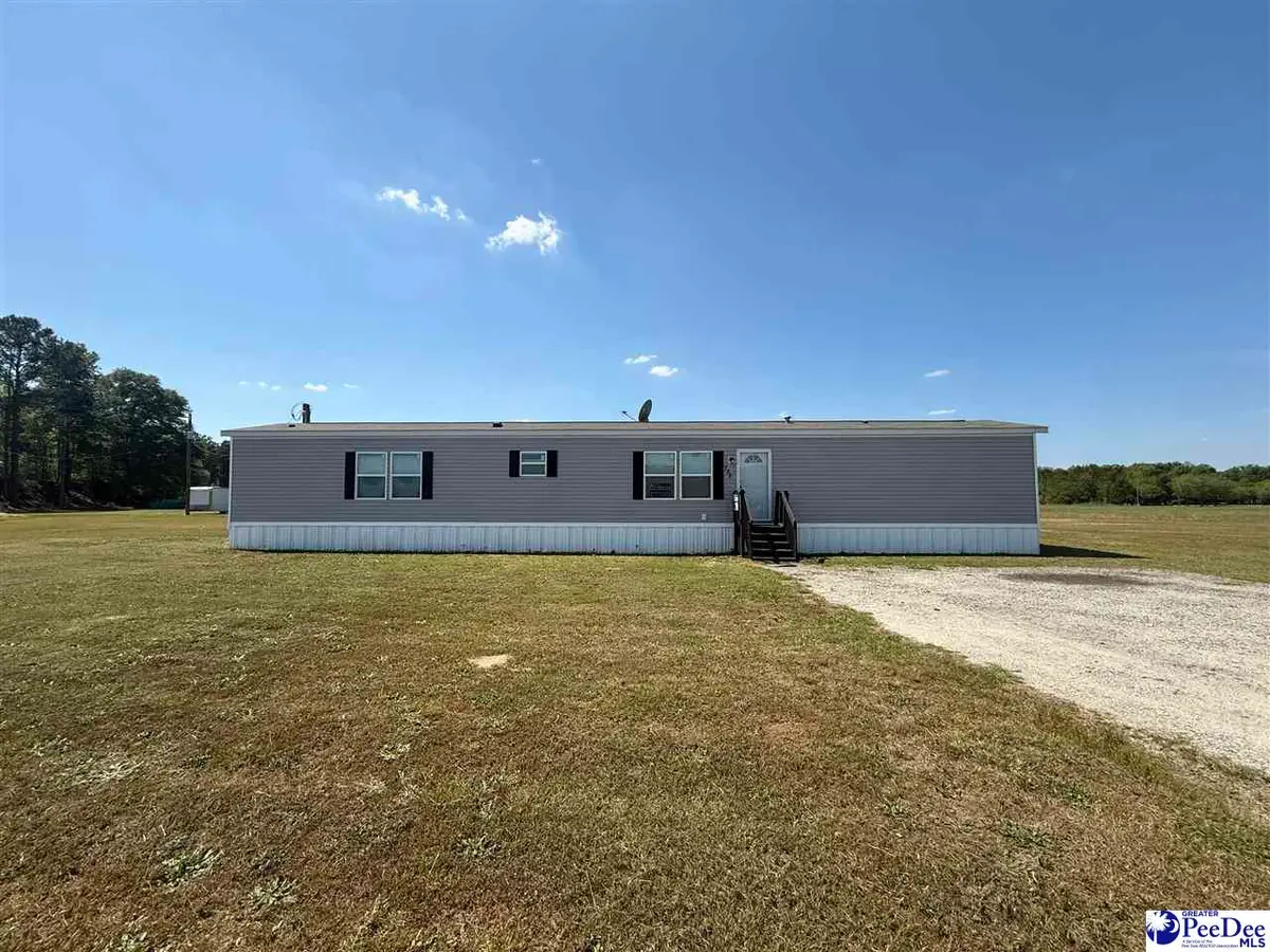 732 Dovefield Rd, Lamar, SC 29069 - #1