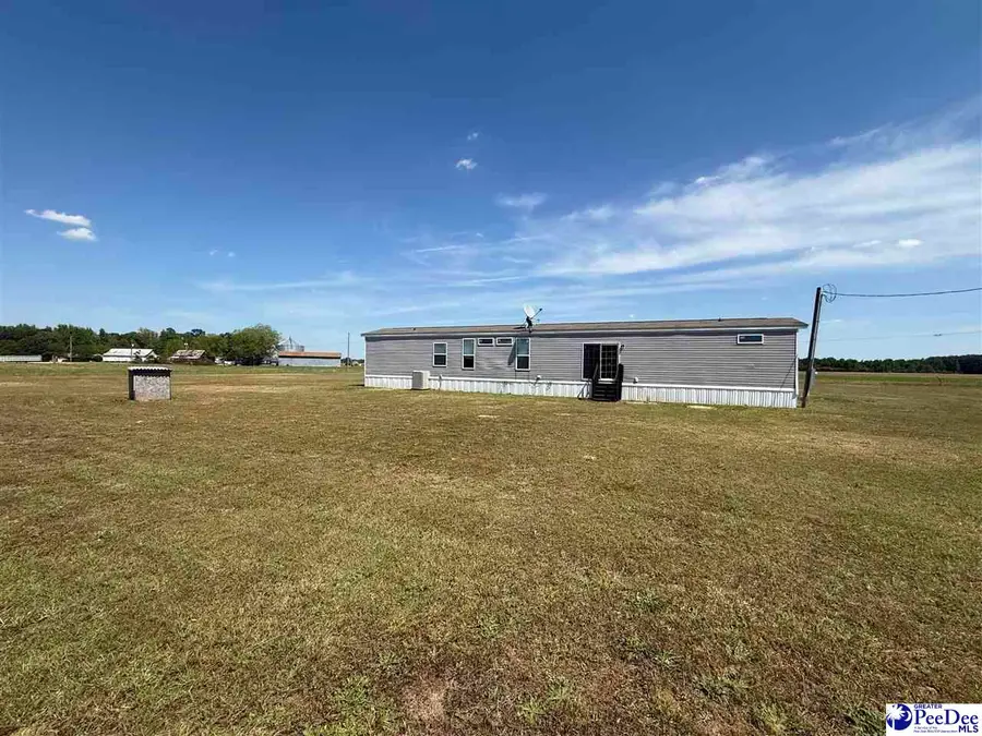 732 Dovefield Rd, Lamar, SC 29069 - #3