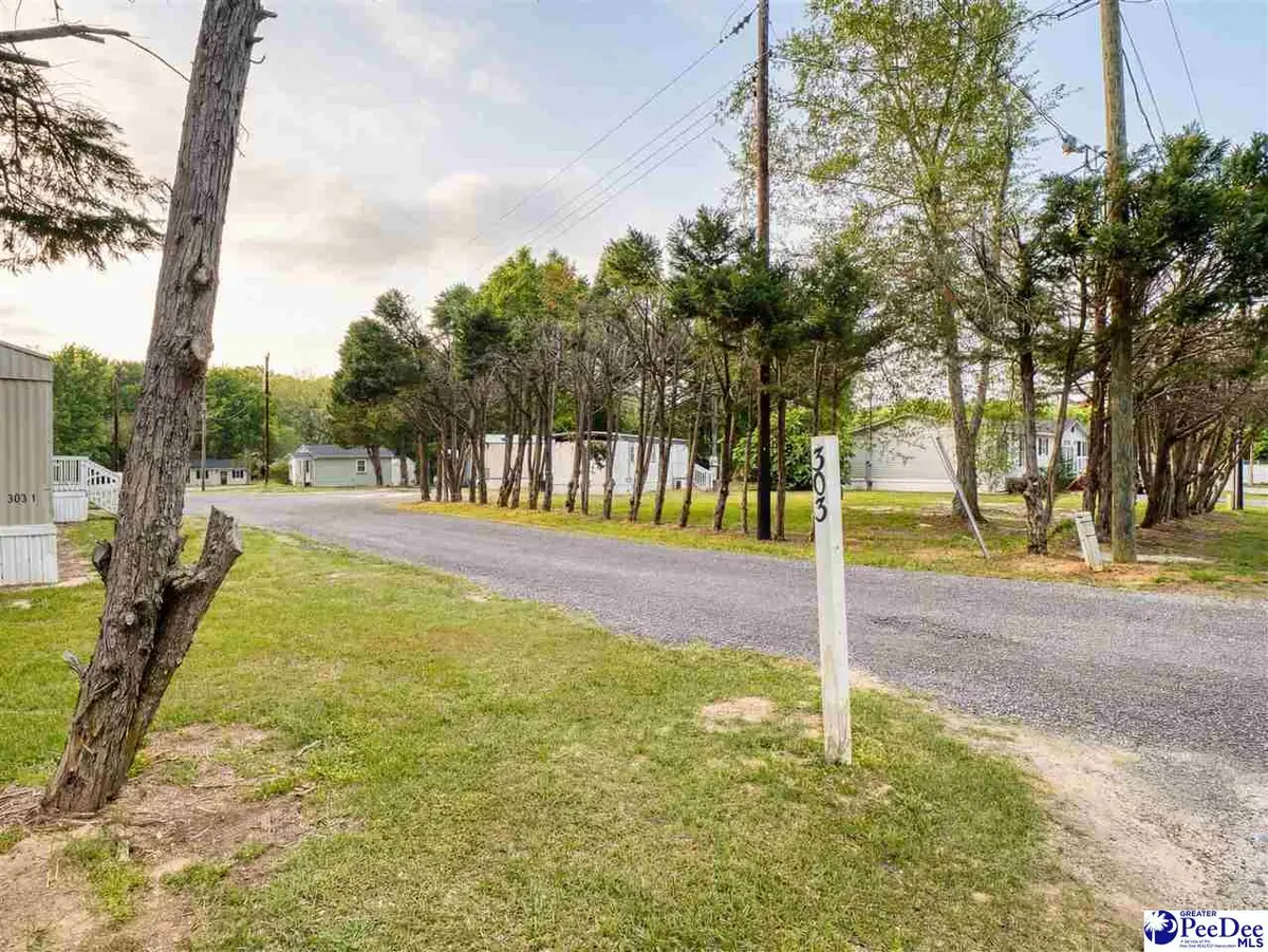 211, 301, 303 Pineland St, Florence, SC 29505 - #1