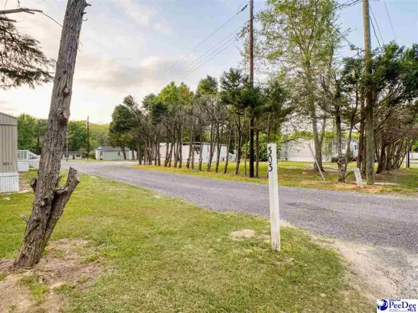 211, 301, 303 Pineland St, Florence, SC 29505