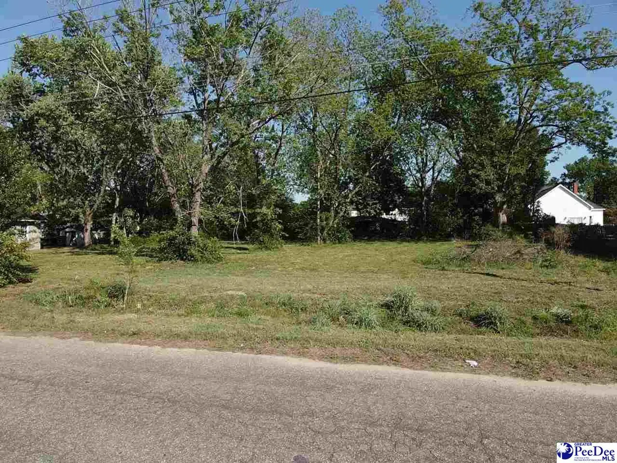 330 NE Railroad Avenue, Latta, SC 29565 - #1
