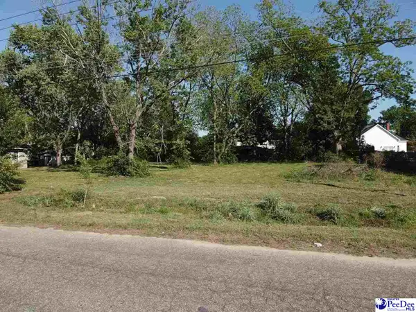 330 NE Railroad Avenue, Latta, SC 29565