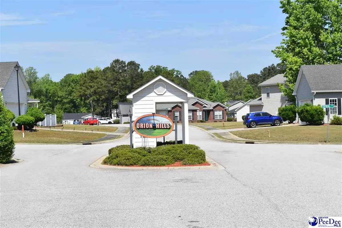 3300 Spiral Lane, Effingham, SC 29541 - #1