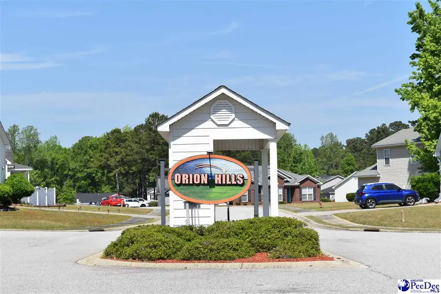 3300 Spiral Lane, Effingham, SC 29541 - #2