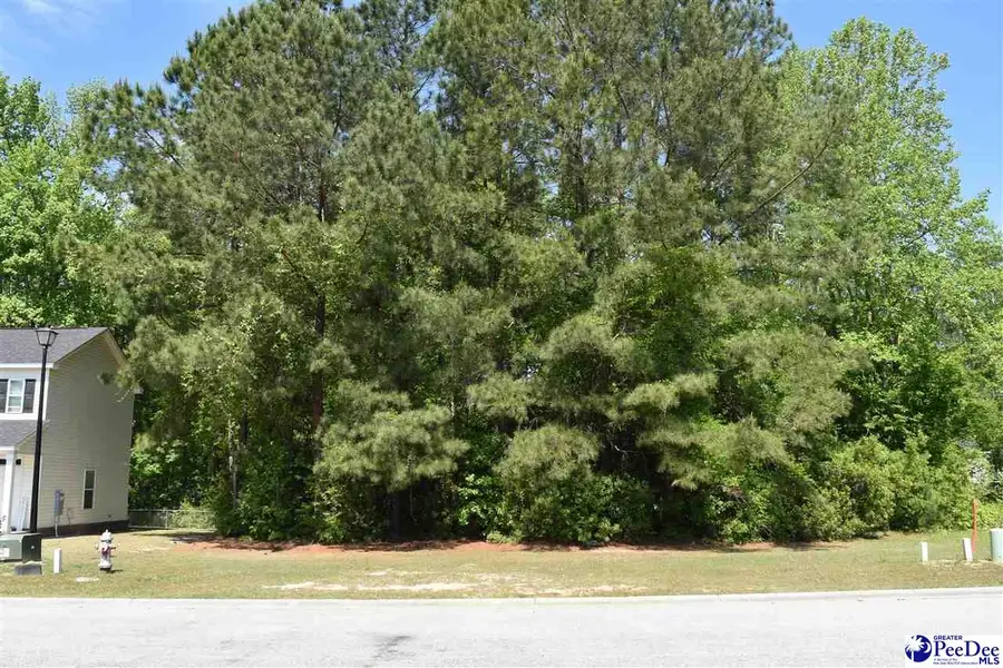 3300 Spiral Lane, Effingham, SC 29541 - #3