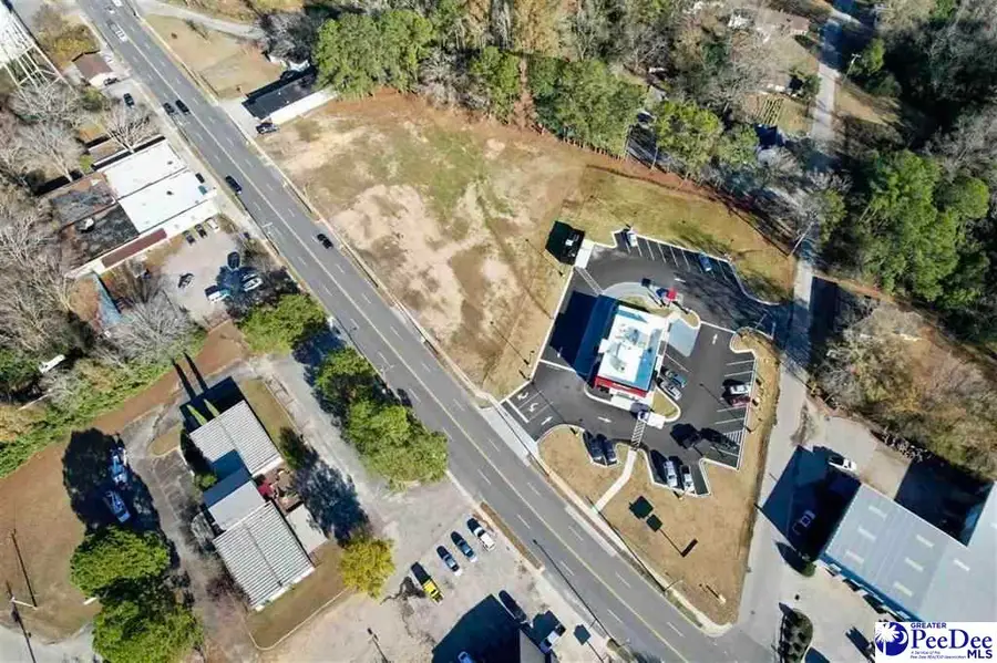 226 S Richardson Street, Latta, SC 29565 - #2