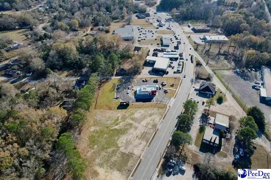 226 S Richardson Street, Latta, SC 29565 - #3