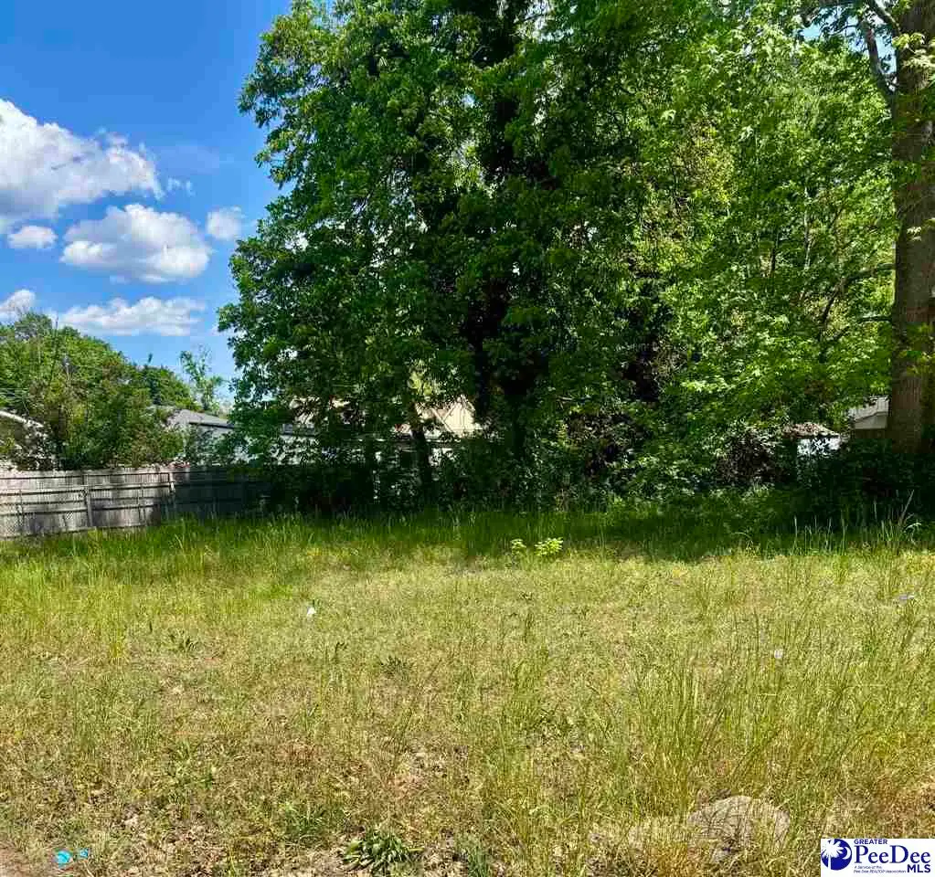 403&405 Jessamine St., Darlington, SC 29532 - #1