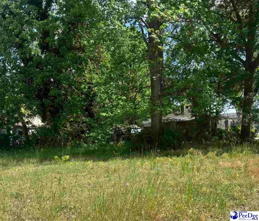 403&405 Jessamine St., Darlington, SC 29532 - #3