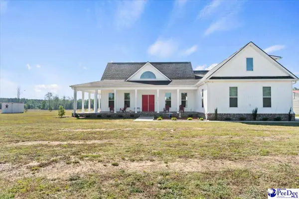 1372 Cubie Rd, Effingham, SC 29541-3413