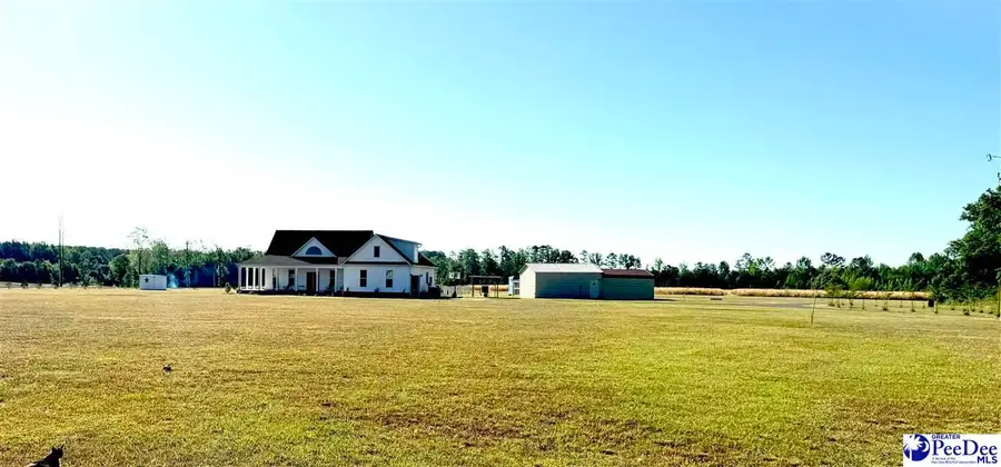 1372 Cubie Rd, Effingham, SC 29541-3413 - #2