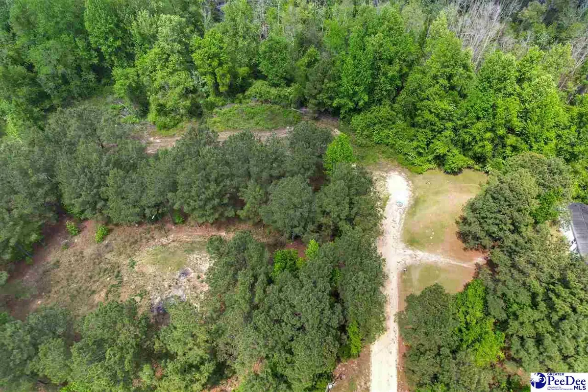 TBD Zachary Court, Latta, SC 29565 - #1