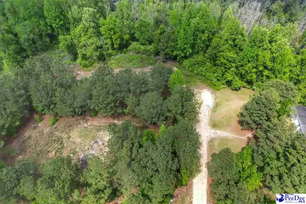 TBD Zachary Court, Latta, SC 29565