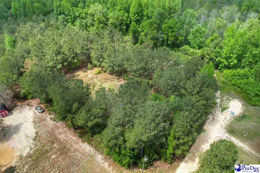 TBD Zachary Court, Latta, SC 29565 - #2
