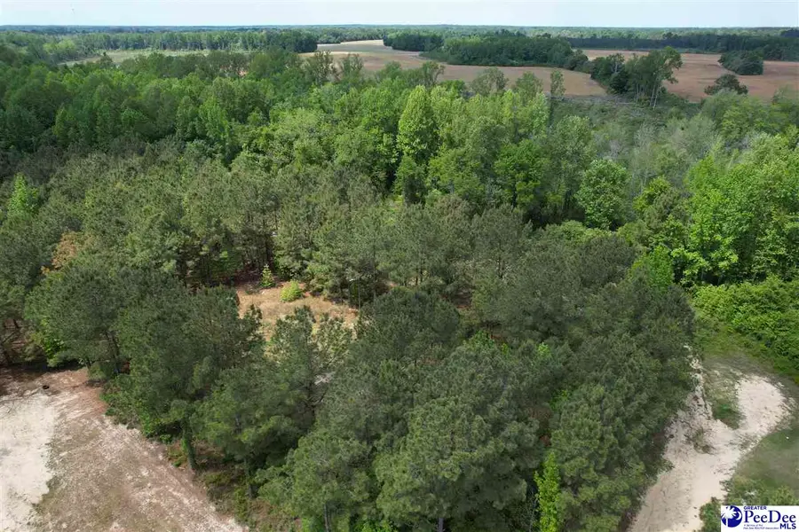 TBD Zachary Court, Latta, SC 29565 - #3