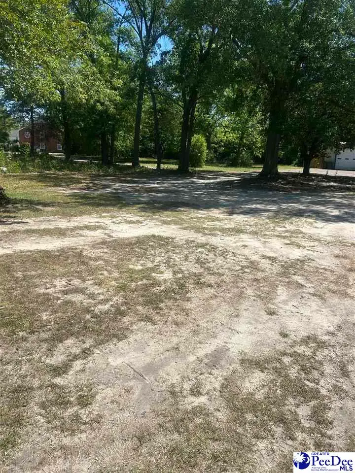 Corner Of S. 4th Street & Davis Avenue, Hartsville, SC 29550 - #2