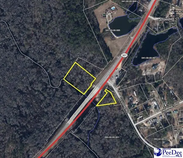 TBD N Highway 301, Dillon, SC 29536