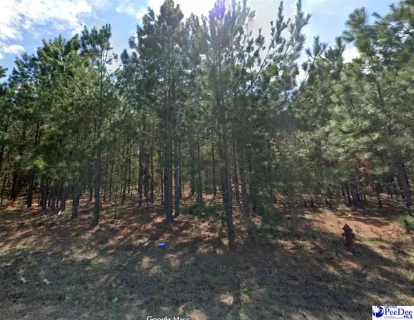 Bullard Ford Rd, Hartsville, SC 29550