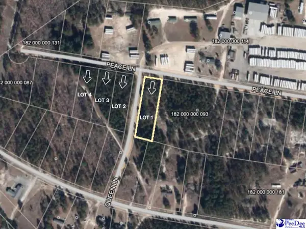 Peace Lane, Hartsville, SC 29550