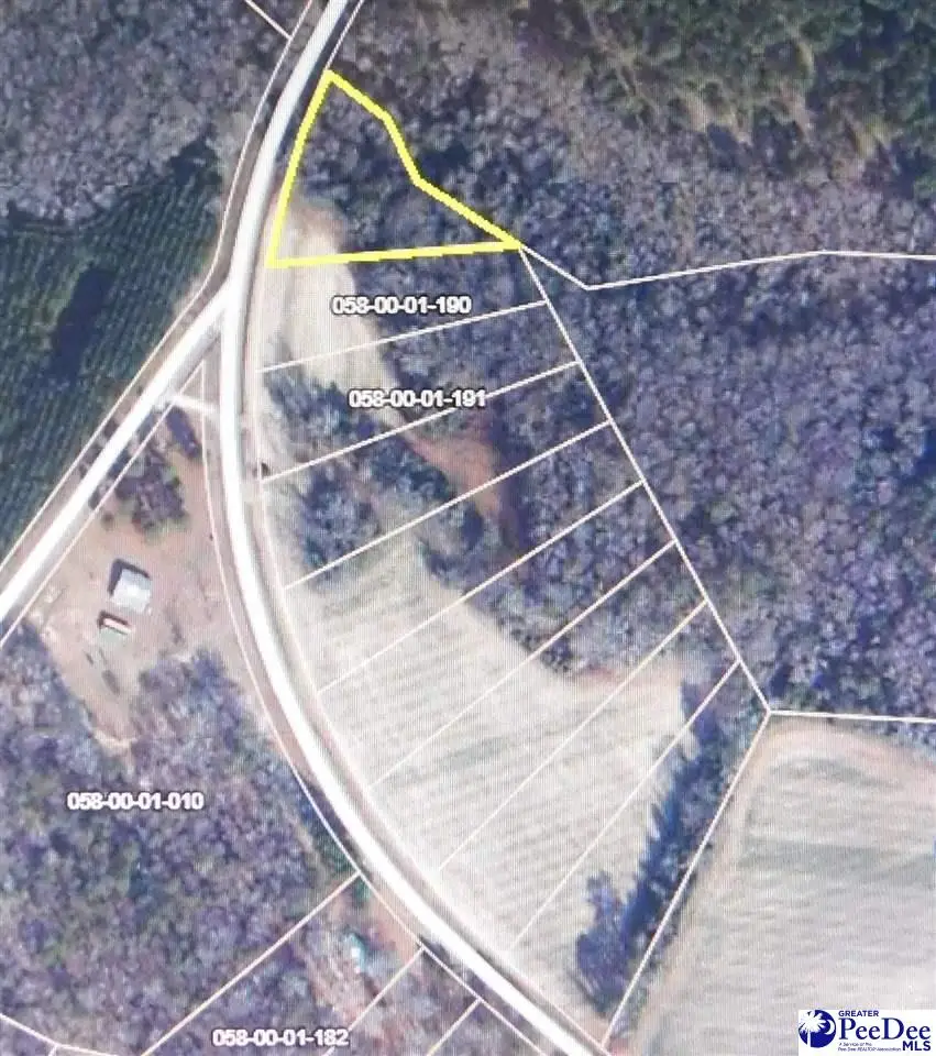 01 Salem Road, Bennettsville, SC 29512 - #1