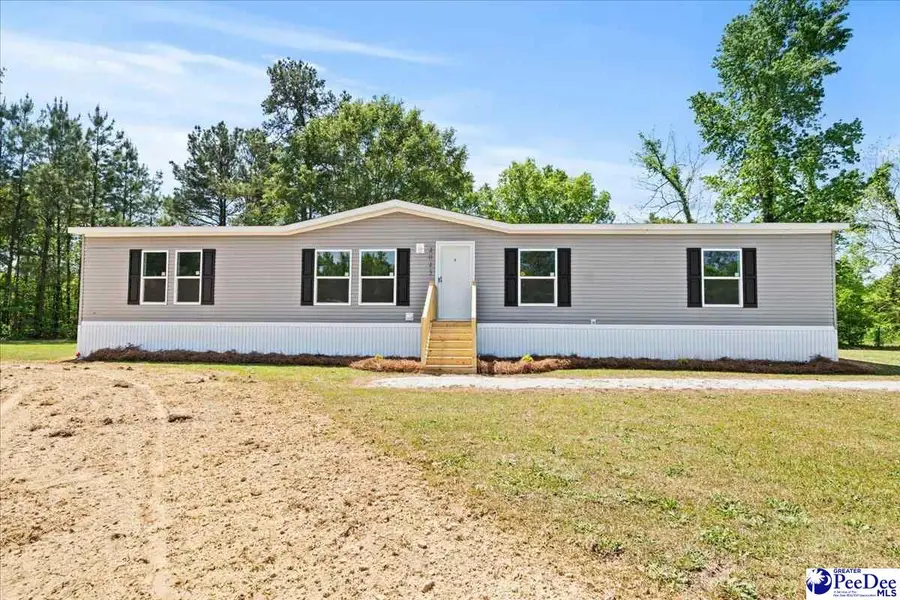 4043 Lake Swamp Rd, Timmonsville, SC 29161 - #3
