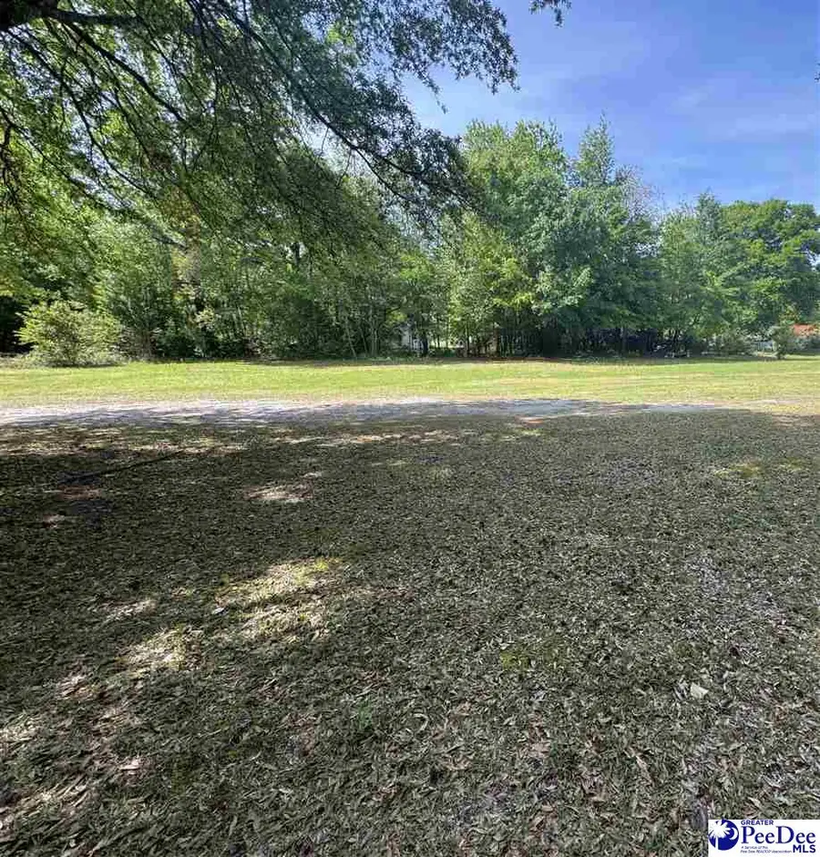 TBD Norfolk Street, Florence, SC 29506 - #2