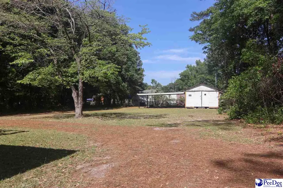 1320 Griggs Circle, Hartsville, SC 29550 - #2