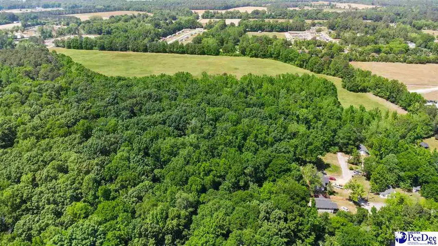 00 Off Of Floyd Street, Mullins, SC 29574 - #3