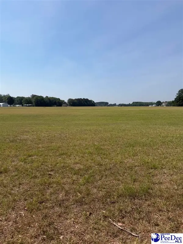 TBD Andrews Mill Rd, Timmonsville, SC 29161