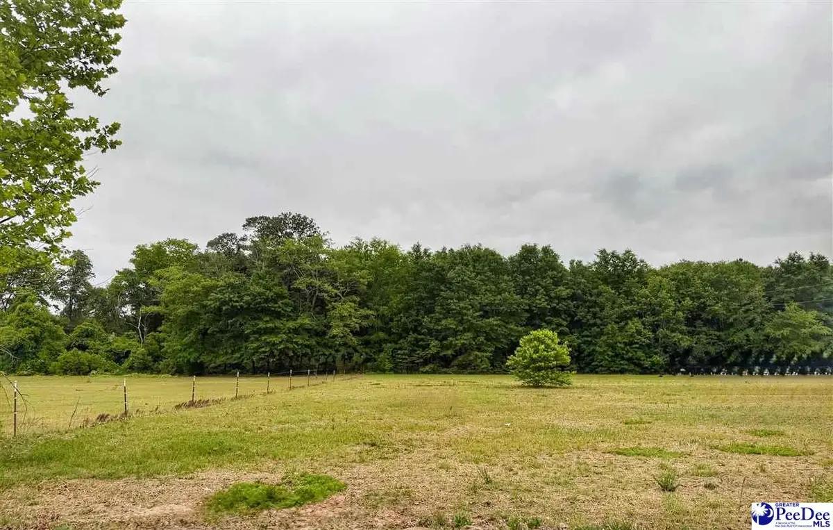 Lot 17 Treasure Cove, Latta, SC 29565 - #1