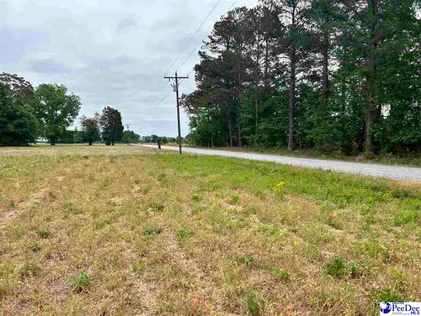 Lot 2 E Carolina Ave, Hartsville, SC 29550-0000