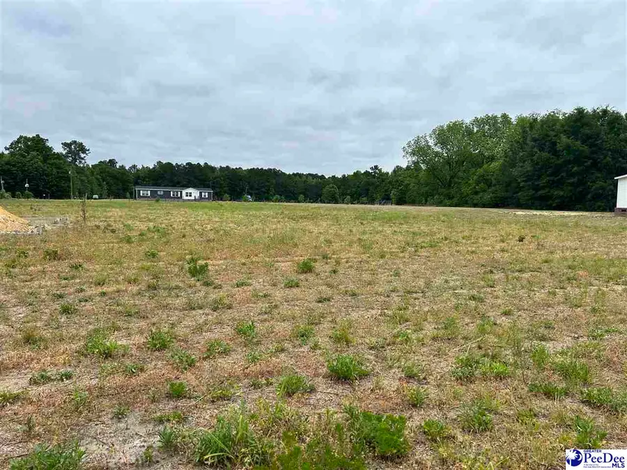 Lot 2 E Carolina Ave, Hartsville, SC 29550-0000 - #2