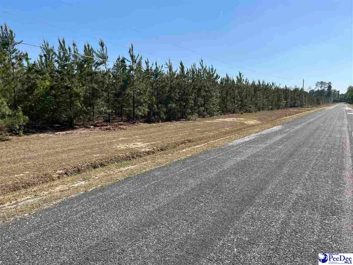 Fore Road, Latta, SC 29565 - #1