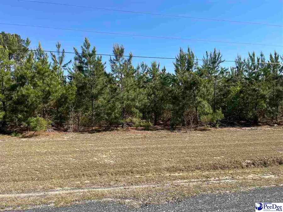 Fore Road, Latta, SC 29565 - #2