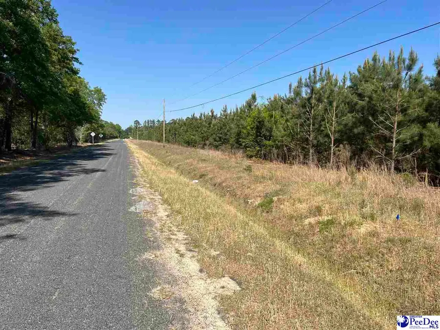 Fore Road, Latta, SC 29565 - #3