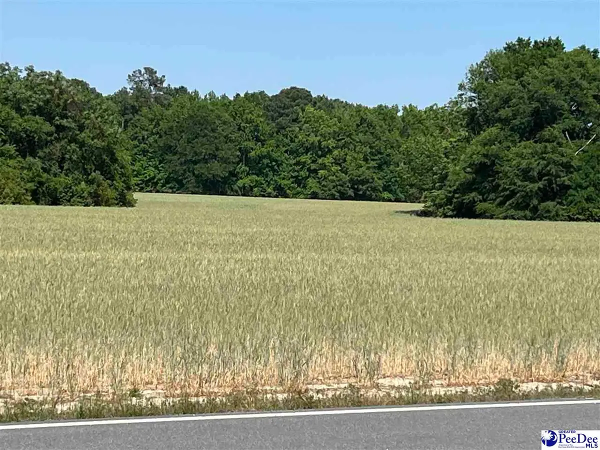 Dunbar Hwy., Blenheim, SC 29516 - #1