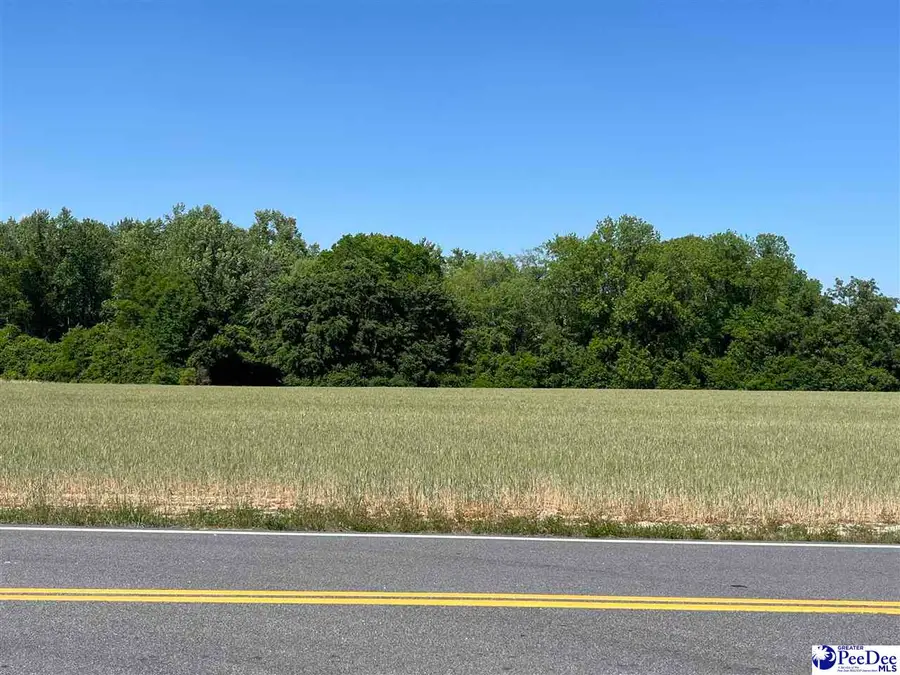 Dunbar Hwy., Blenheim, SC 29516 - #2