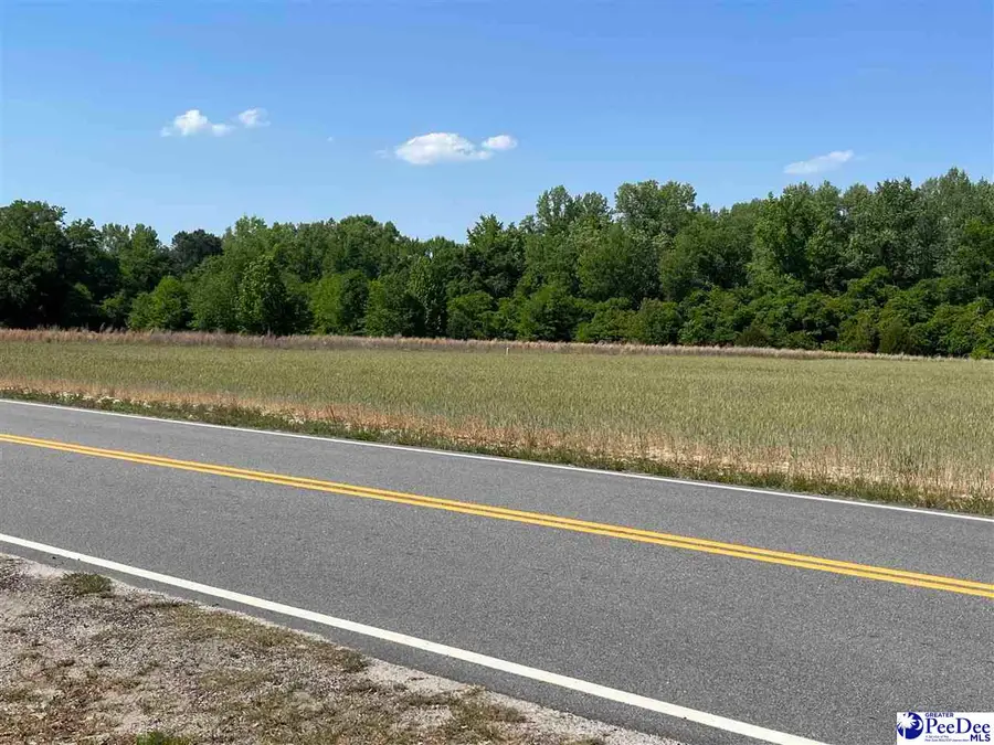 Dunbar Hwy., Blenheim, SC 29516 - #3