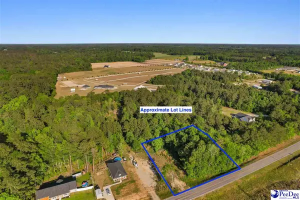 TBD Pee Dee Hwy, Conway, SC 29527