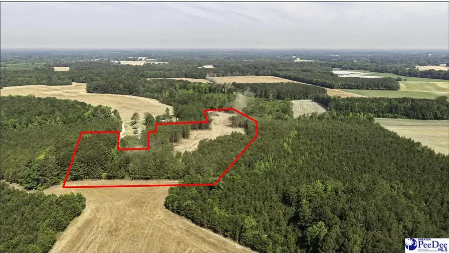 TBD Newberry Road, Lamar, SC 29069 - #2