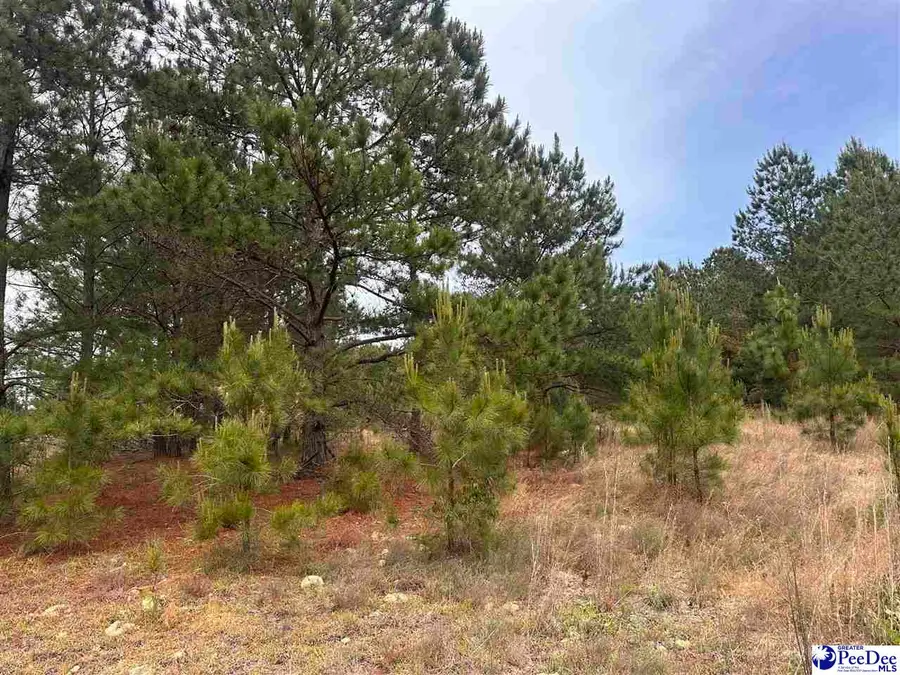 Tract 3 Patrick Highway, Hartsville, SC 29550 - #2