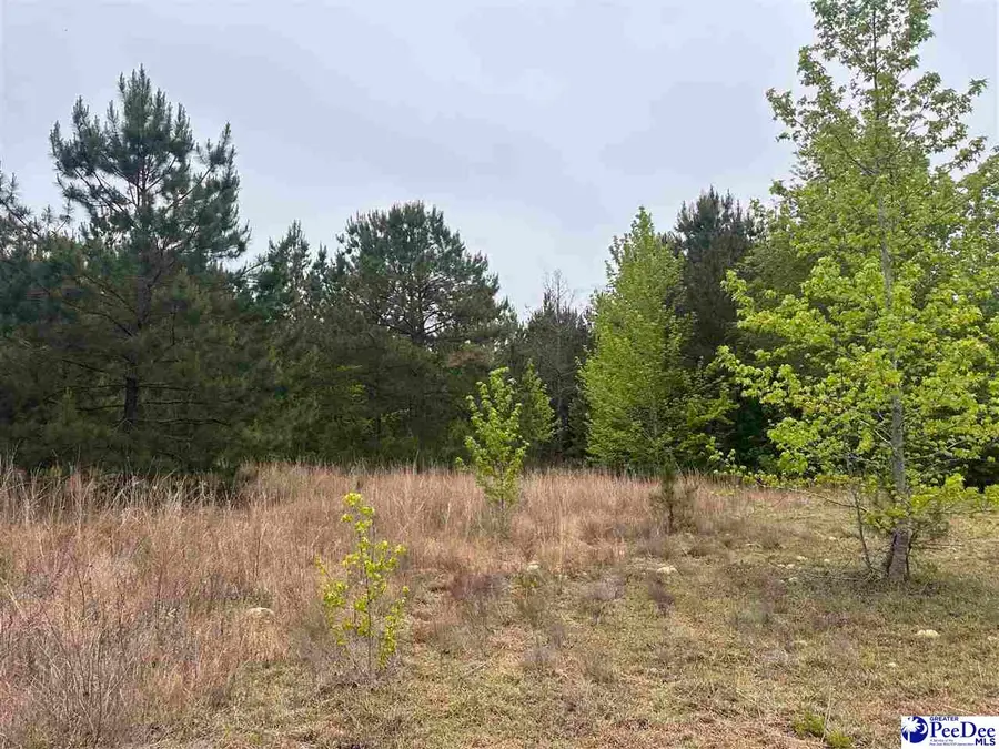 Tract 3 Patrick Highway, Hartsville, SC 29550 - #3