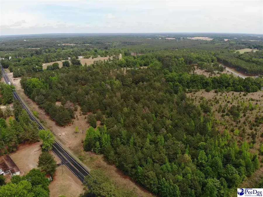 Tract 4 Patrick Highway, Hartsville, SC 29550 - #2