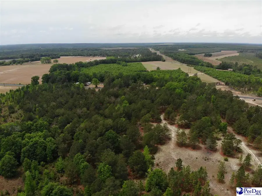 Tract 4 Patrick Highway, Hartsville, SC 29550 - #3