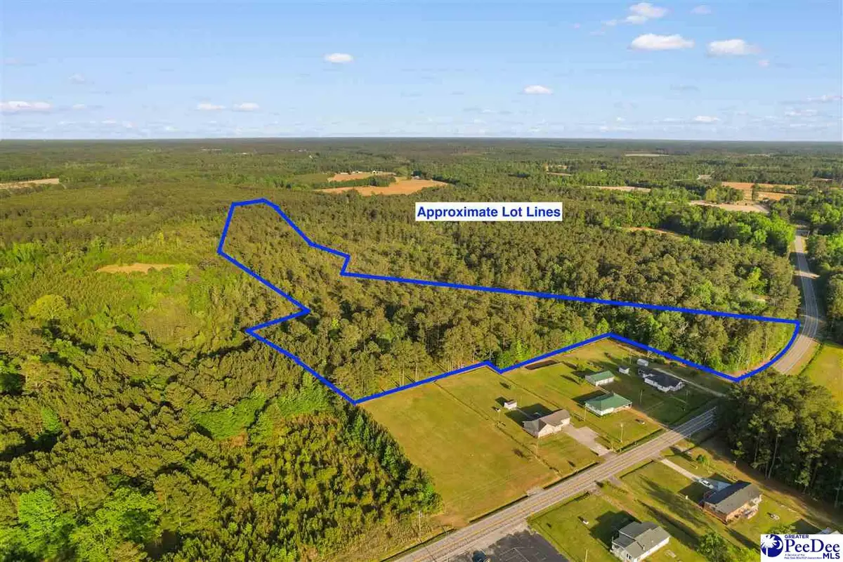 TBD Mount Olive Church Rd, Loris, SC 29569 - #1