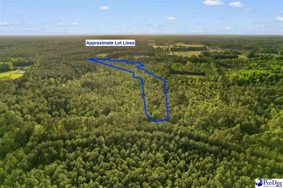 TBD Mount Olive Church Rd, Loris, SC 29569 - #3