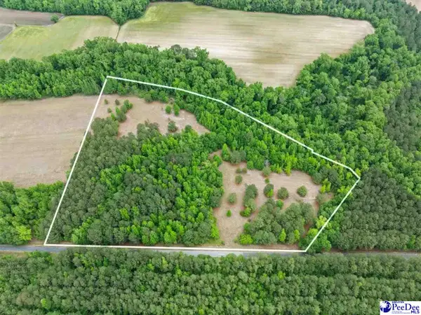 Daniel Chapel Rd, Mccoll, SC 29570