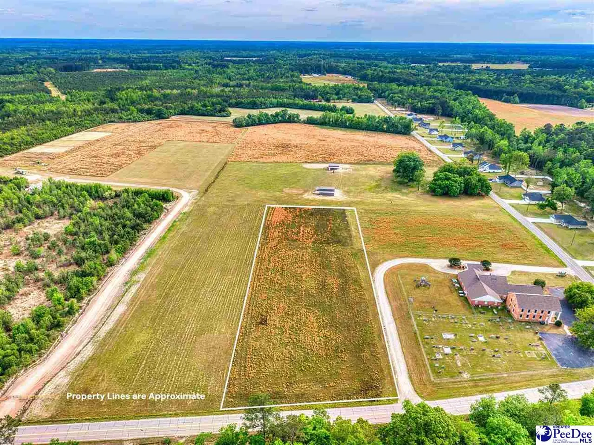 Lot #4 Liberty Chapel Rd, Florence, SC 29506 - #1