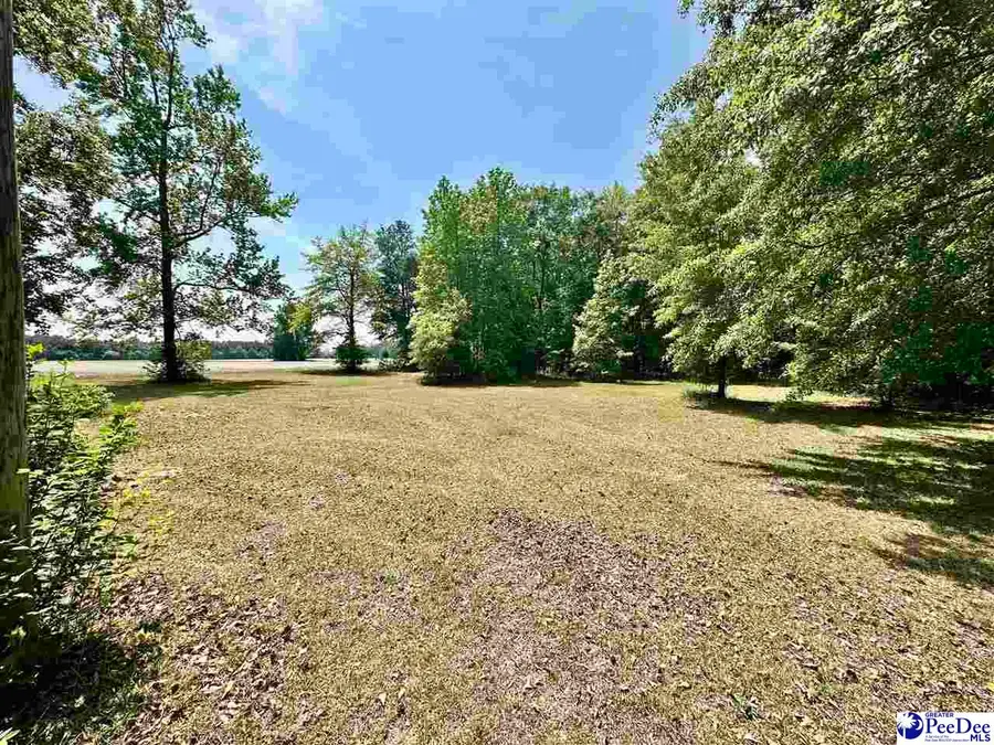 2917 Chippenham Rd, Marion, SC 29571 - #2